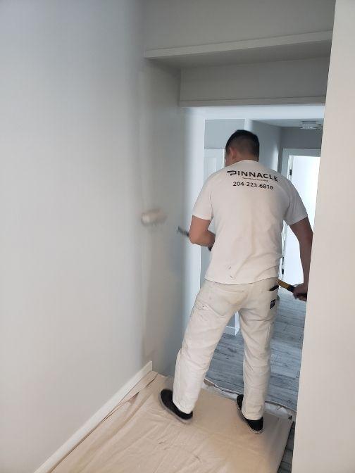 Can You Use White Paint As A Primer? - Pinnacle Painting and